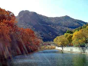 新澳天天开奖资料大全旅游团，旋转木马多少钱一台